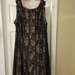 Dressbarn Black Lace and pink dress